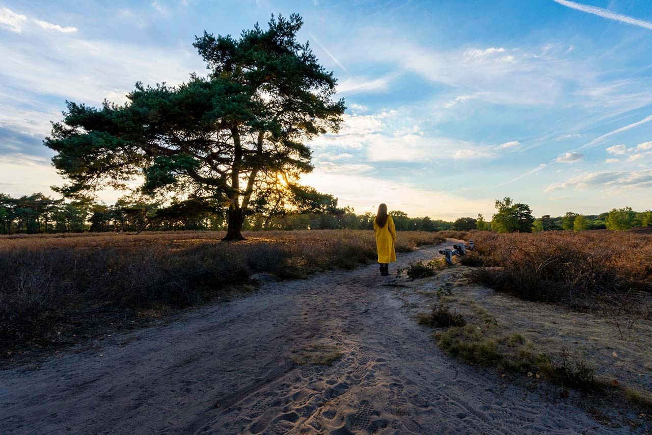 Drenthe