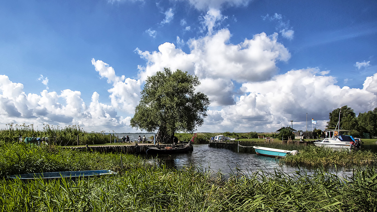 Friesland