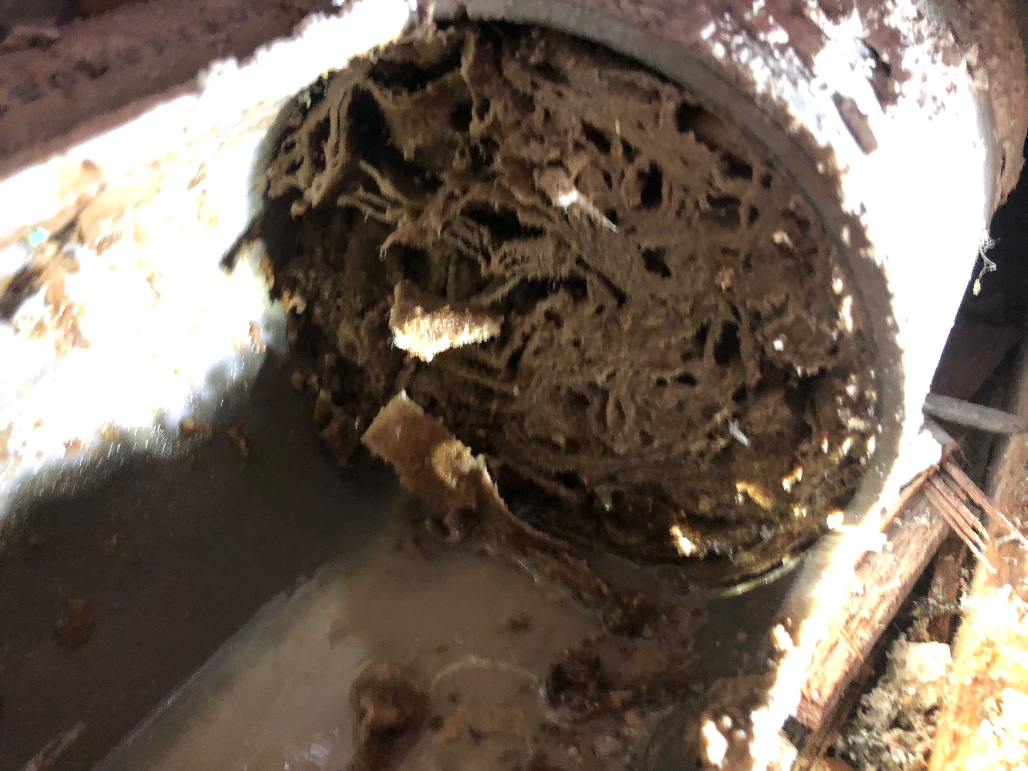 Verstopping vochtige toiletdoekjes toilet