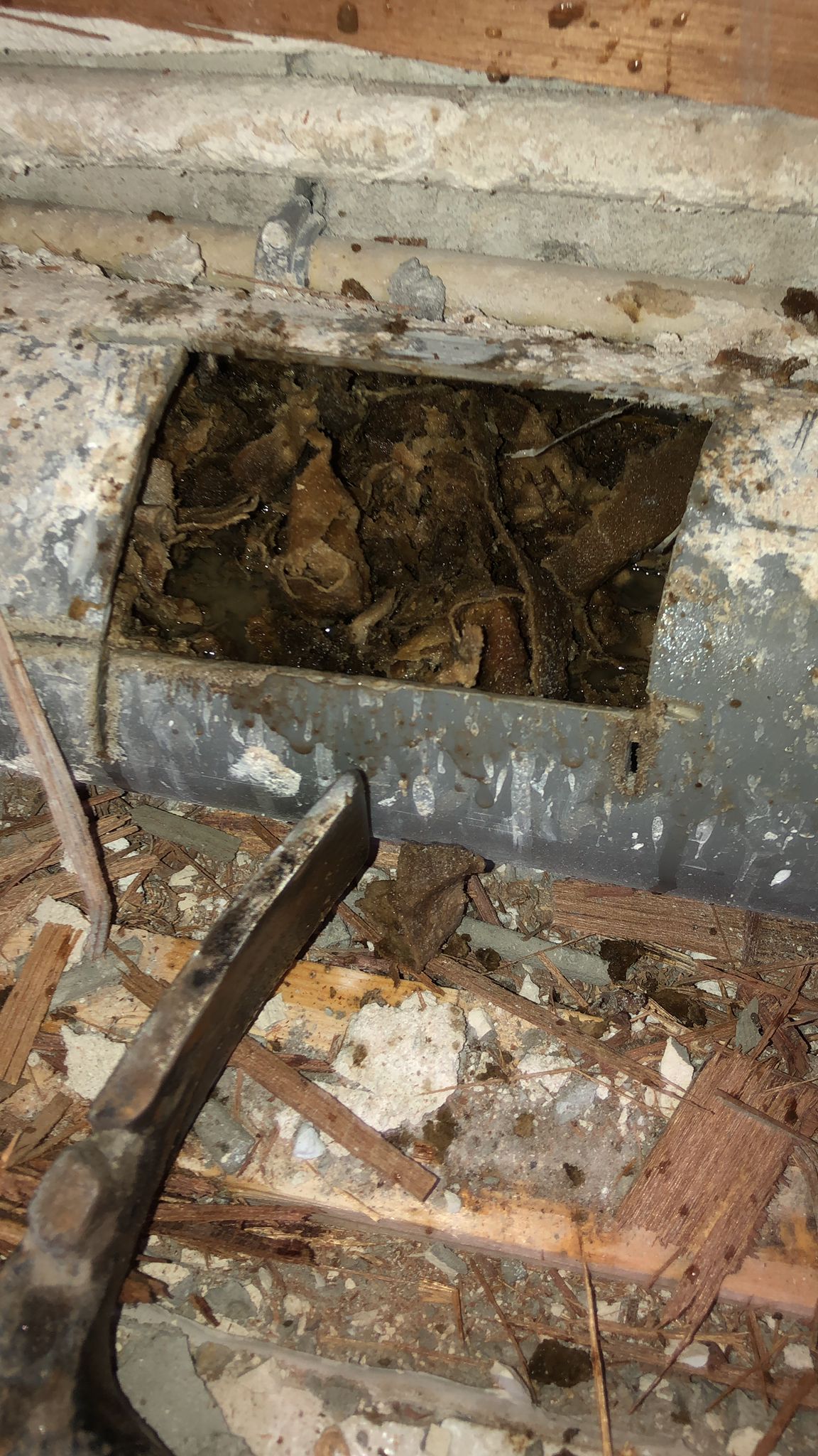 Verstopping vochtige toiletdoekjes