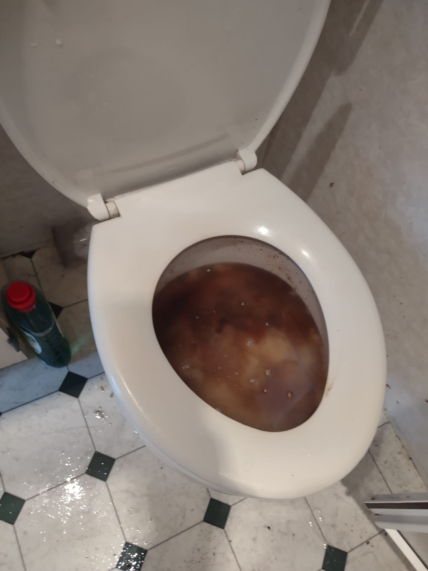 Verstoppping toilet