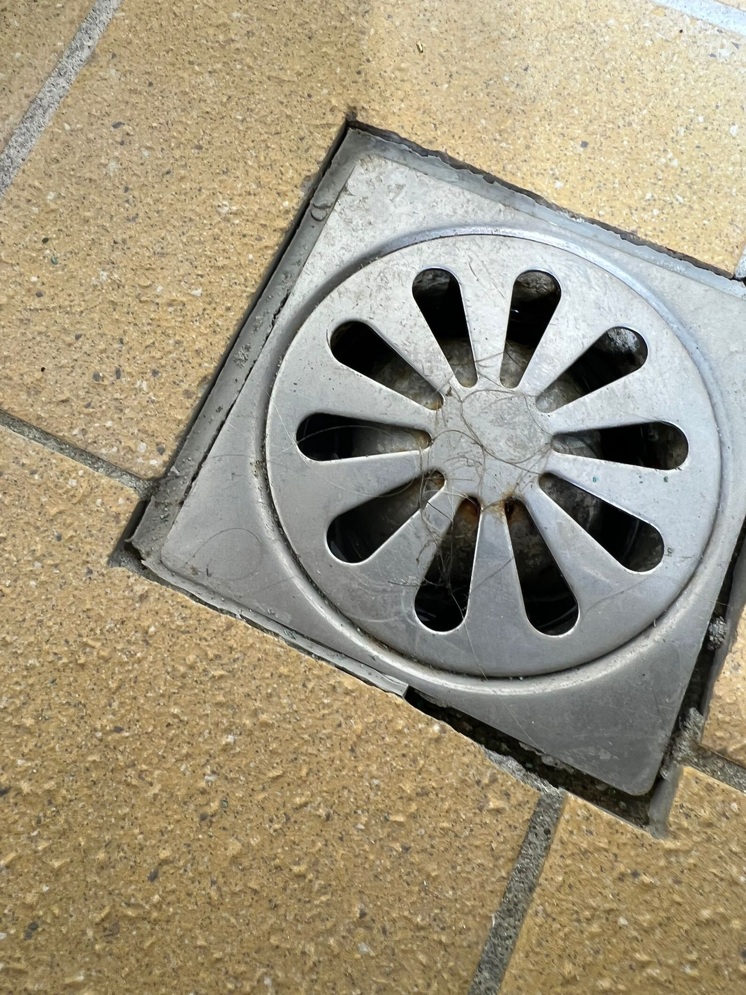 Lekkages door slecht voegwerk doucheput