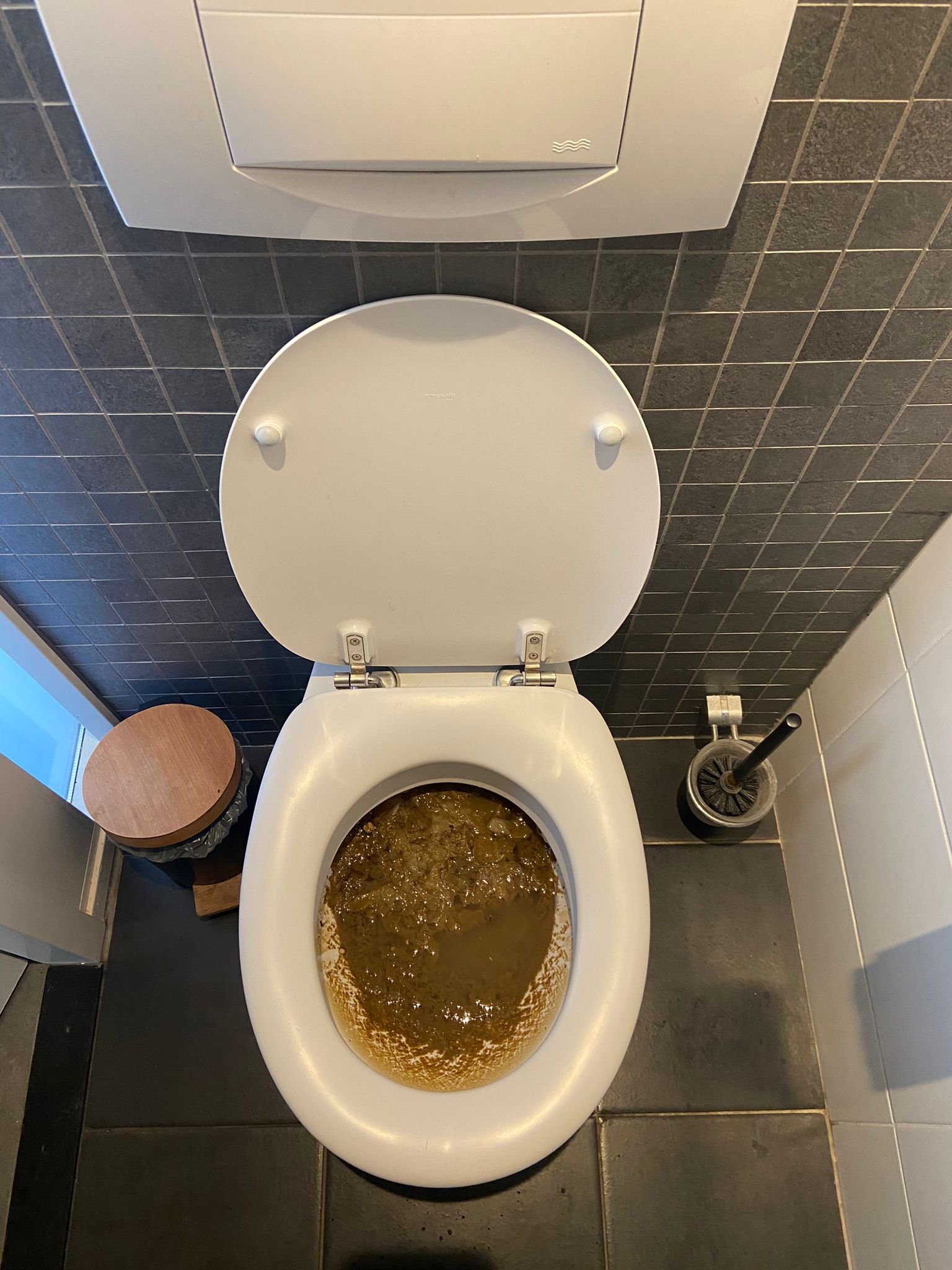 Wc verstopping